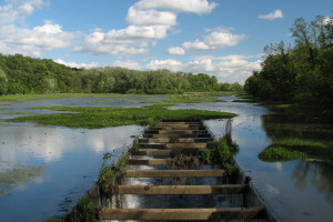难以置信!这群平凡的战士,在奇迹之夜点燃全球激情!