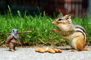 战队基地生活大揭秘,你的偶像竟是个“游戏宅男”! 战队基地生活大揭秘,你的偶像竟是个“游戏宅男”!